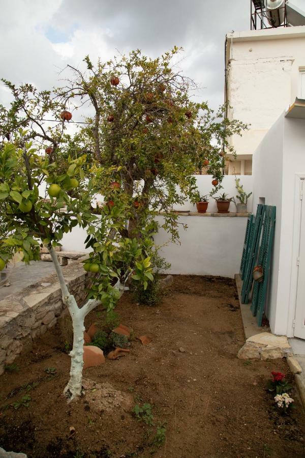Villa Iliopetra House Sívas Exterior foto